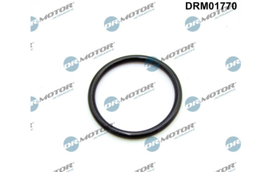 Gasket, intake manifold