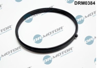 Gasket, intake manifold