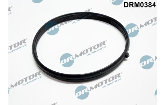 Gasket, intake manifold