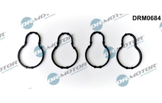 Gasket, intake manifold
