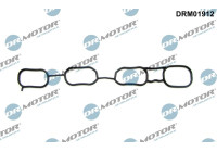 Gasket, intake manifold