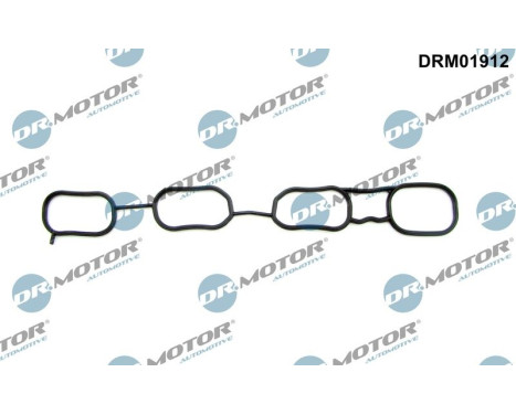 Gasket, intake manifold