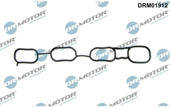 Gasket, intake manifold