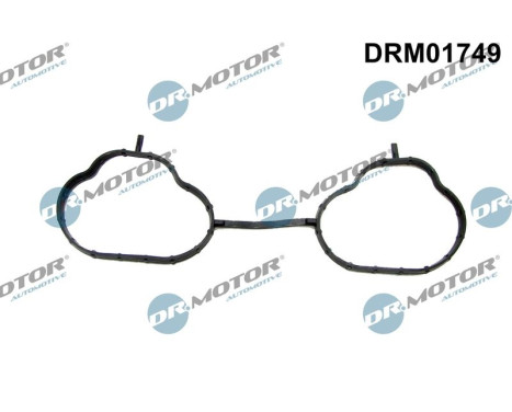 Gasket, intake manifold