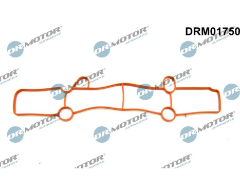 Gasket, intake manifold