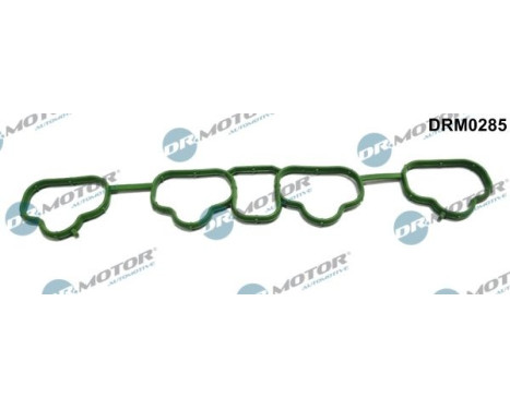 Gasket, intake manifold