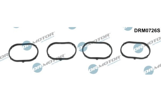Gasket, intake manifold