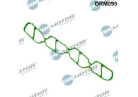 Gasket, intake manifold
