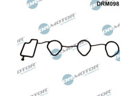 Gasket, intake manifold