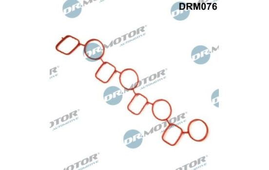 Gasket, intake manifold