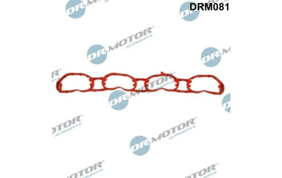 Gasket, intake manifold