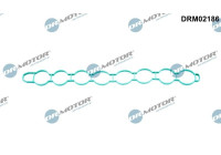 Gasket, intake manifold