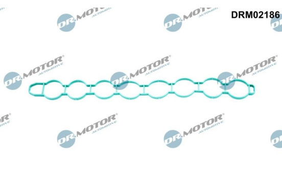 Gasket, intake manifold