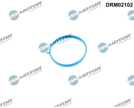Gasket, intake manifold