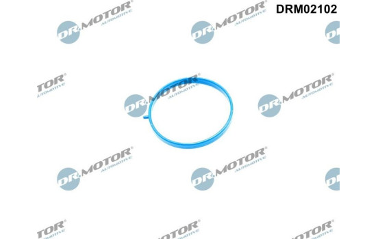 Gasket, intake manifold