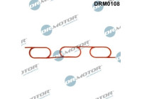 Gasket, intake manifold