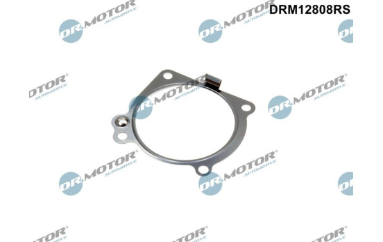 Gasket, intake manifold