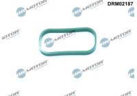 Gasket, intake manifold