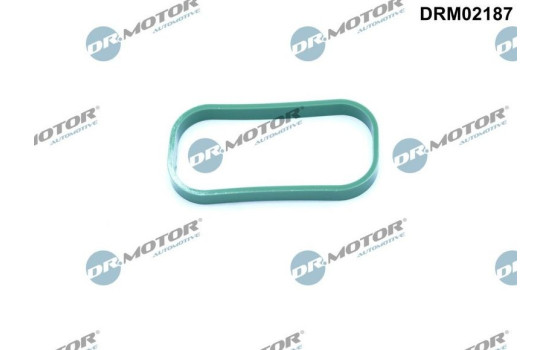 Gasket, intake manifold