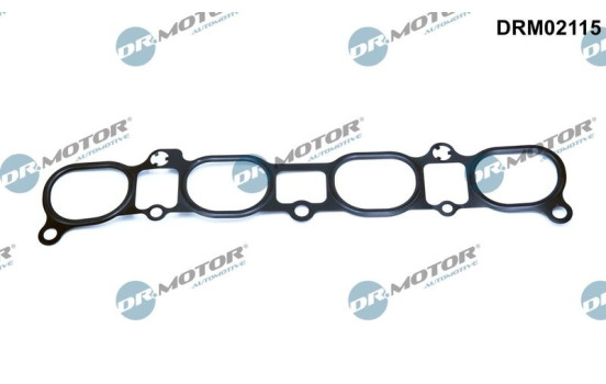 Gasket, intake manifold
