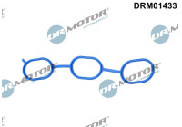 Gasket, intake manifold
