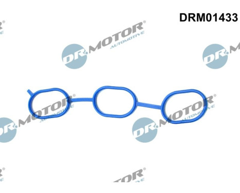Gasket, intake manifold