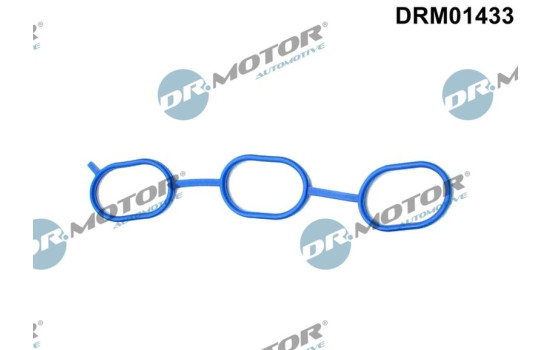 Gasket, intake manifold