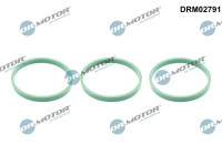 Gasket, intake manifold