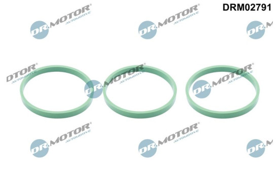 Gasket, intake manifold