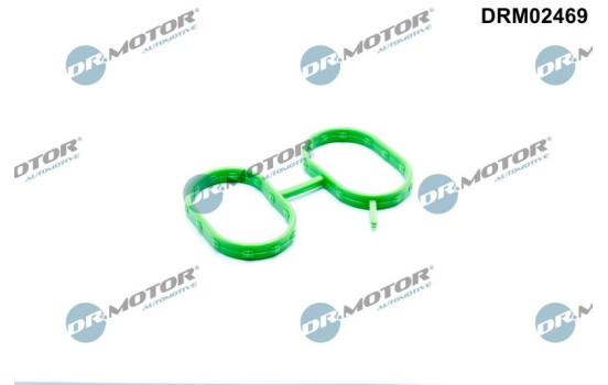 Gasket, intake manifold