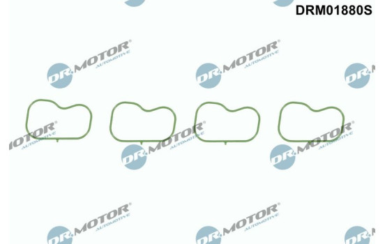 Gasket, intake manifold