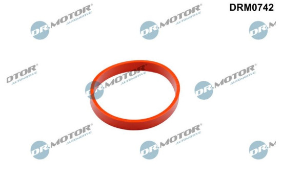 Gasket, intake manifold