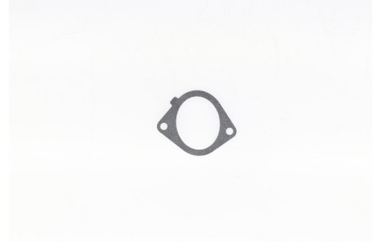 Gasket, intake manifold