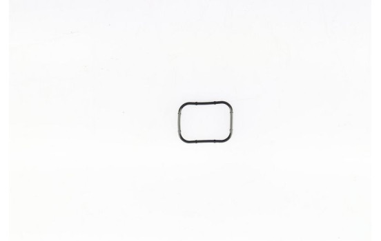 Gasket, intake manifold