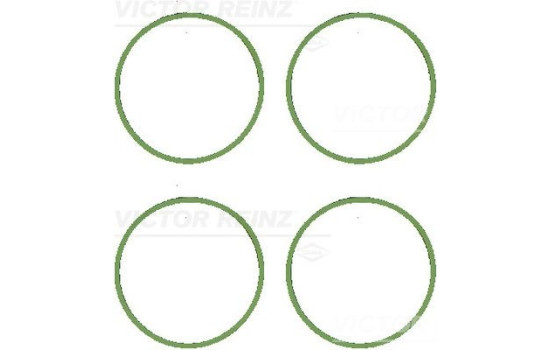 Gasket set, intake manifold 11-11071-01 Viktor Reinz