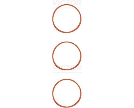 Gasket Set, intake manifold 11-11551-01 Viktor Reinz