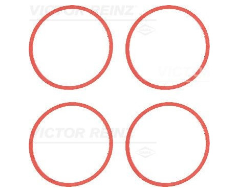 Gasket Set, intake manifold 11-35246-01 Viktor Reinz