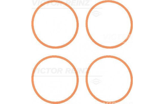 Gasket Set, intake manifold 11-37616-01 Viktor Reinz