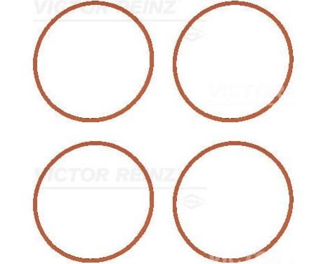 Gasket Set, intake manifold 11-37632-01 Viktor Reinz