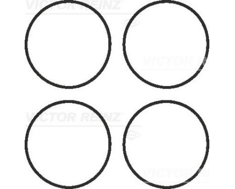 Gasket Set, intake manifold 11-41336-01 Viktor Reinz