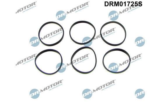 Gasket set, intake manifold