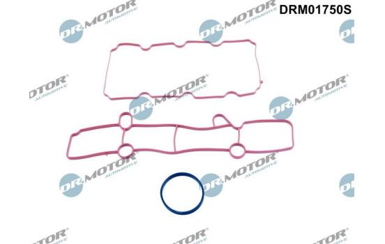 Gasket set, intake manifold