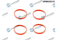 Gasket set, intake manifold