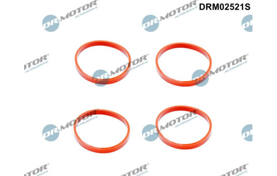 Gasket set, intake manifold