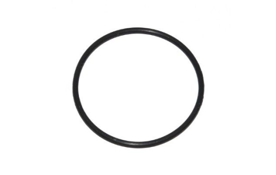 sealing ring 003.520 Elring