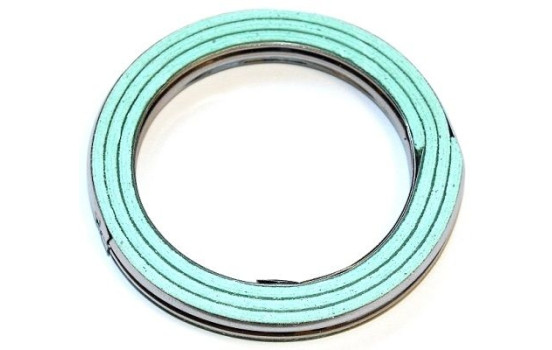 sealing ring 020.851 Elring