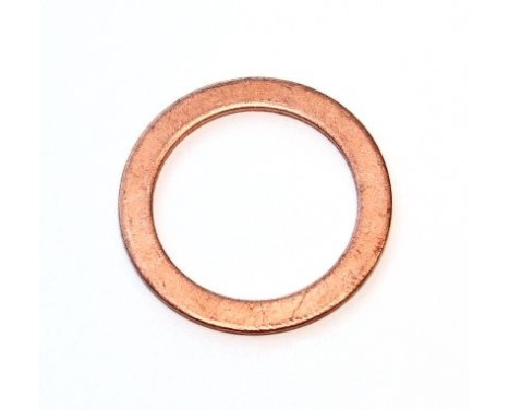 sealing ring 119.407 Elring