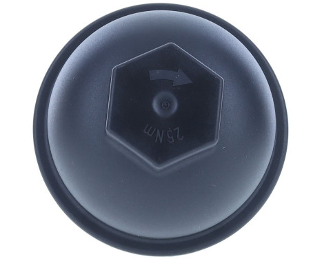 Cover, oil filter housing, Image 4