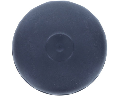 Cover, oil filter housing, Image 5