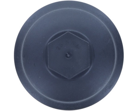 Cover, oil filter housing, Image 7